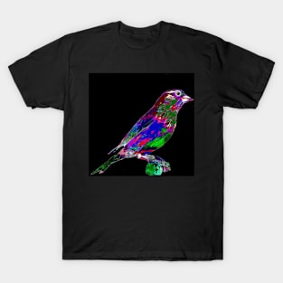 Colorful Finch Bird T-Shirt